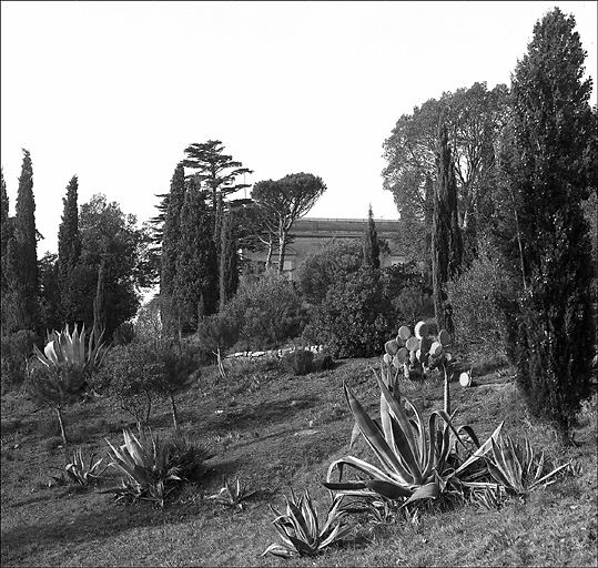 Jardin. Vue prise à l'est de la maison.