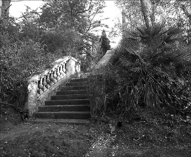 Jardin. Escalier. Vue prise de l'ouest.