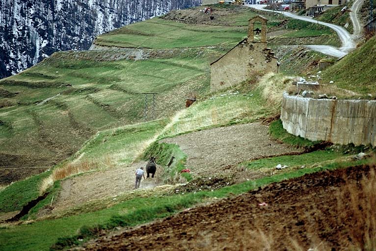 Hyères (les). Travaux agricoles.
