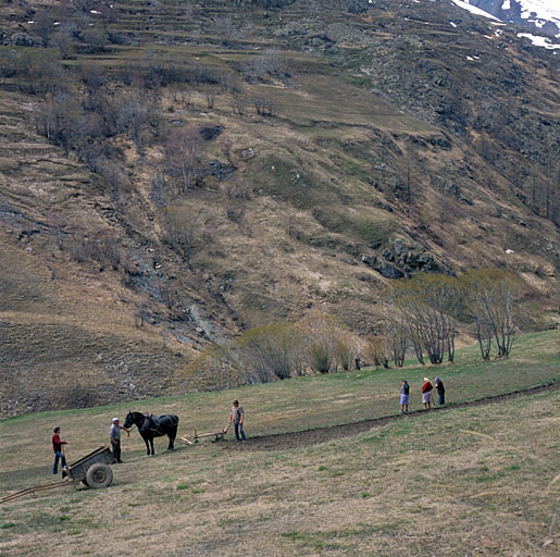 Scène de labour au Chazelet.