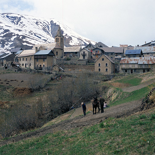 Travaux agricoles.