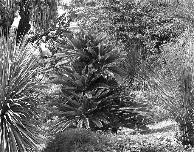 Jardin d'agrément dit jardin de la villa Marie Thérèse ou villa Rothschild