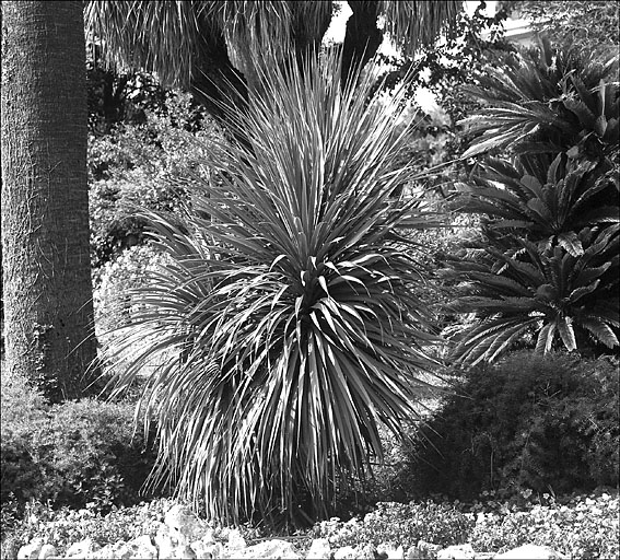 Jardin d'agrément dit jardin de la villa Marie Thérèse ou villa Rothschild