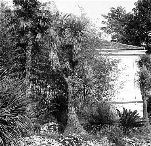 Jardin d'agrément dit jardin de la villa Marie Thérèse ou villa Rothschild