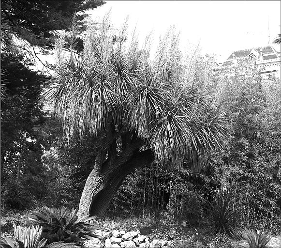 Jardin d'agrément dit jardin de la villa Marie Thérèse ou villa Rothschild