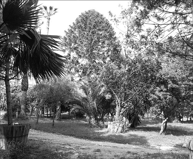 Jardin d'agrément dit jardin de la villa Marie Thérèse ou villa Rothschild