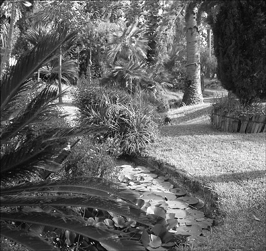 Jardin d'agrément dit jardin de la villa Marie Thérèse ou villa Rothschild