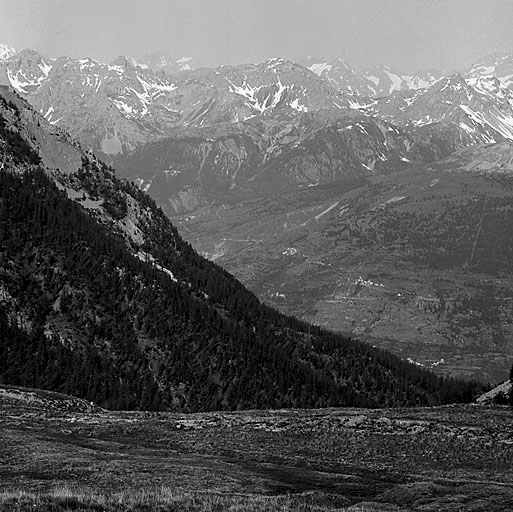 Pentes nord de l'Infernet vues du chalet du Gondran. A mi-pente, au pied de l'éboulis, remarquer, dans les arbres, la ligne blanche du retranchement de Serre des Armes.