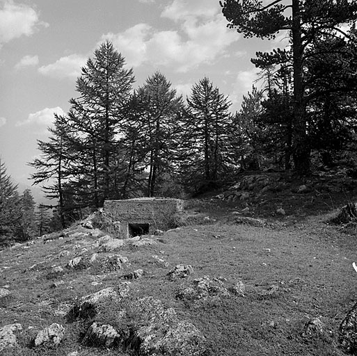 Groupe du col de l'Echelle. Ouvrage 972. Poste optique (liaison avec 654).