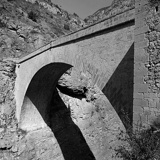 Vue oblique de la face sud prise de la rive est.