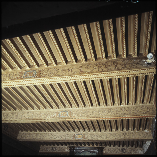 Rez-de-chaussée. Pièce Ba. Plafond.