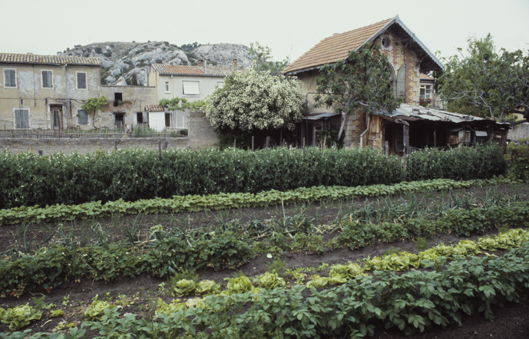 Elévation antérieure sud-est sur le jardin.