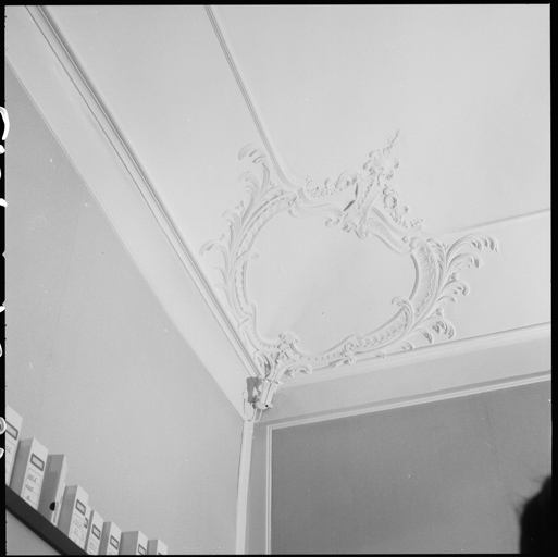 Rez-de-chaussée, cartouche d'angle de plafond.