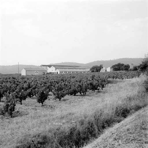Volume vu du nord-est.