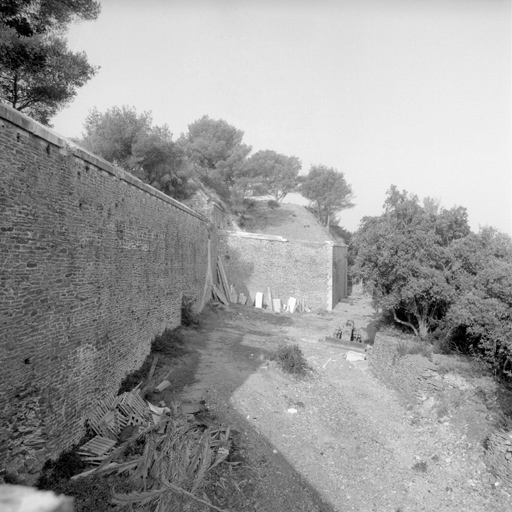 Enceinte et fossé.