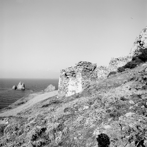 Enceinte, vue extérieure prise du sud. Au centre, bastionnet.