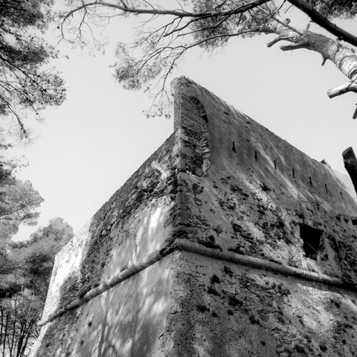 Tour. Saillant sud-est. Au sommet, vestiges de l'échauguette d'angle.