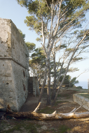 Alycastre : escalier d'accès. ; Face nord de la tour. Escalierd'accès et porte, surmontée des corbeaux de l'ancienne bretèche. A droite, parapet du front de mer, modifié pour l'artillerie de côte.