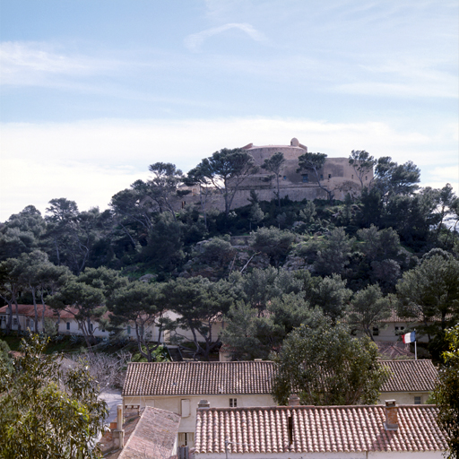 Le fort vu du nord-est depuis l'ancienne batterie du Lion.