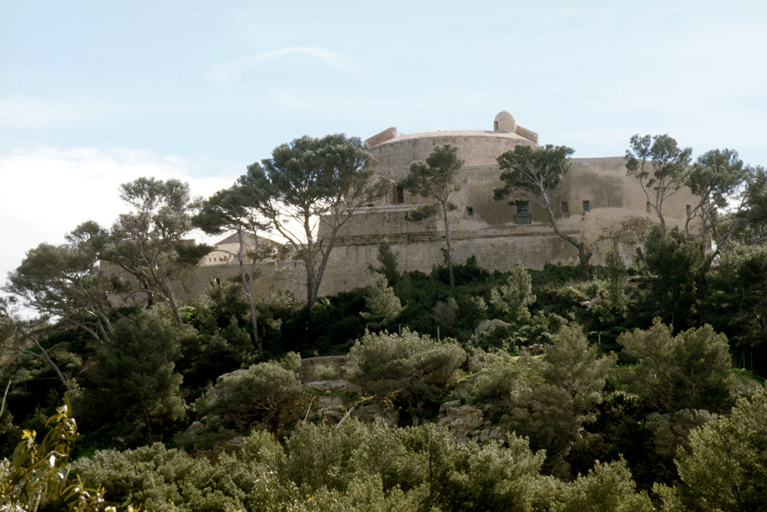 Le fort vu du nord-est depuis l'ancienne batterie du Lion.