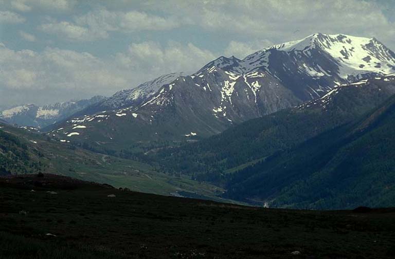 Vue sur la vallée de l'Ubayette et le col de Larche.