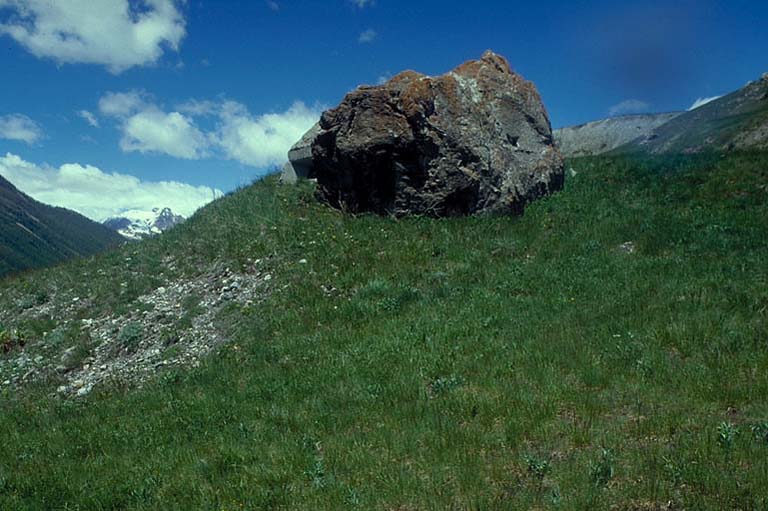 Blockaus du Colombier. Vue avant gauche.