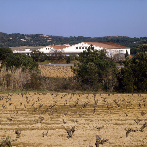 Vue de situation depuis les vignes.