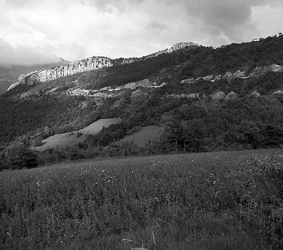 Vue de situation. Ensemble du site vu de l'ouest. F : le fort, T : la tour à mâchicoulis.