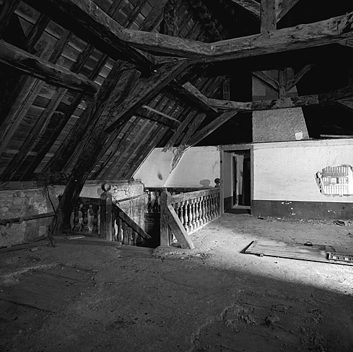 Porte de Briançon. Pavillon D. Combles. Vue de la charpente et de l'escalier d'accès.