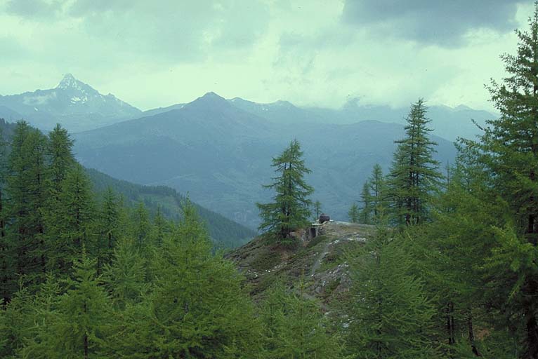 Molines-en-Queyras. Tourelle de mitrailleuse par éléments. Vue de situation prise vers le nord-est.