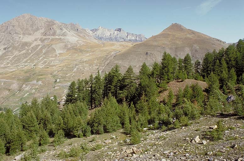 Vue depuis Las Planas.