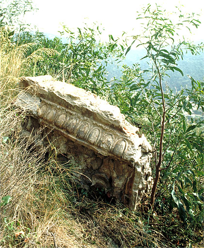 Maison dite colonie de vacances des villes de Montélimar et de Romans