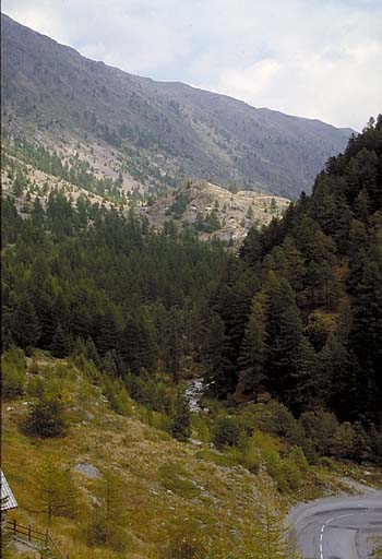 Ouvrage du Val de Castiglione. Vue de situation prise à l'ouest, de l'avant. A l'arrière plan, crête de la Lausette.