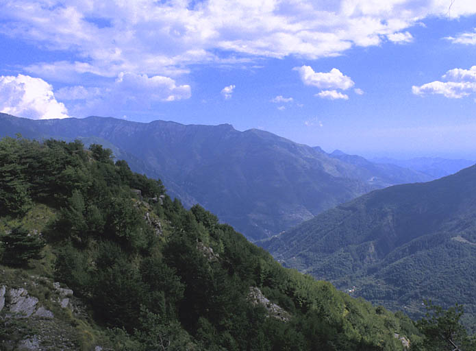 Vue de situation prise de l'ouest. A l'arrière-plan, les hauteurs situées en Italie, en rive gauche de la Roya..