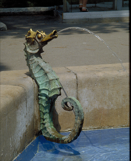 Bordure du bassin. Un hippocampe.