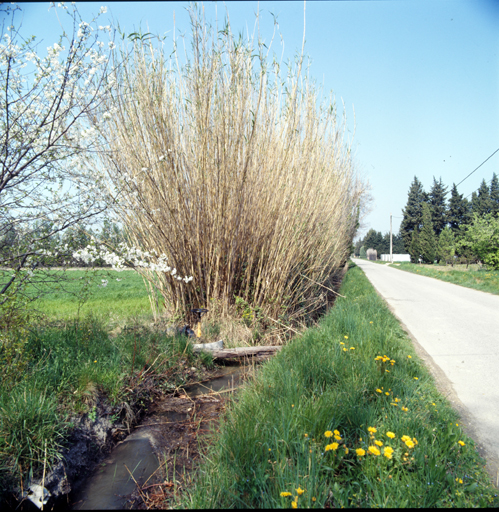 Canal d'irrigation longeant un chemin de service.