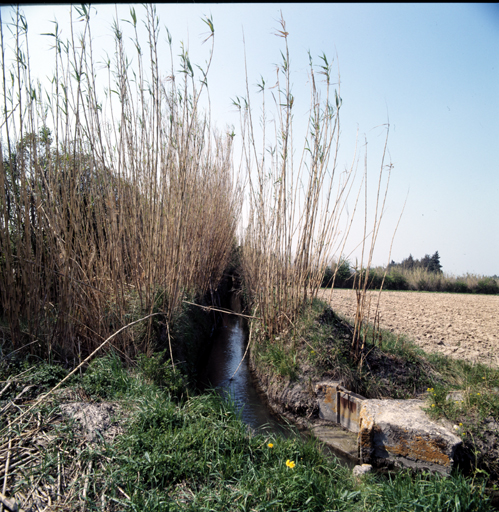 Canal d'irrigation.