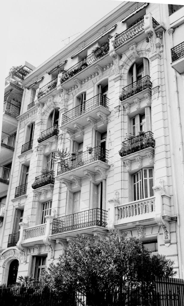 Façade antérieure. Vue d'ensemble.