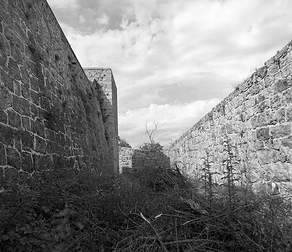 Fossé du front est. A gauche, l'escarpe et le bastionnet nord.