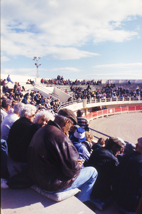 Partie est et volume partiel vus du nord. Course camarguaise du 26 octobre 1994.