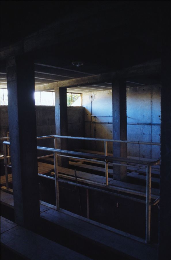 Partie supérieure des box et passerelle du toril.