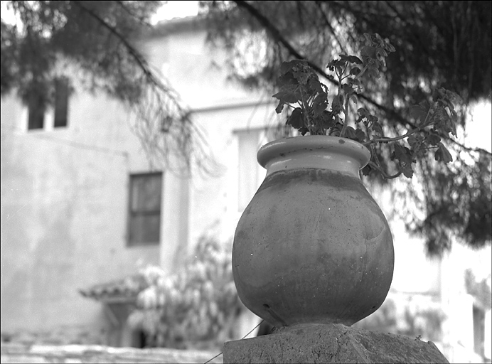 Jarre de Biot servant de jardinière sur le mur de clôture.