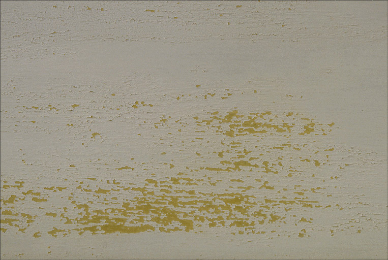 Détail: traces de peintures jaunes sur les lames de pare-soleil, sur la façade sud.