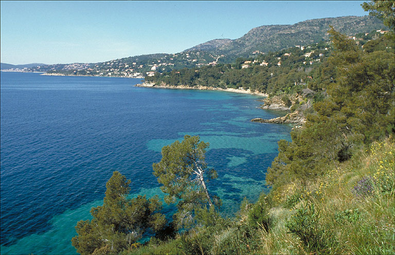 Station balnéaire dite Le Lavandou