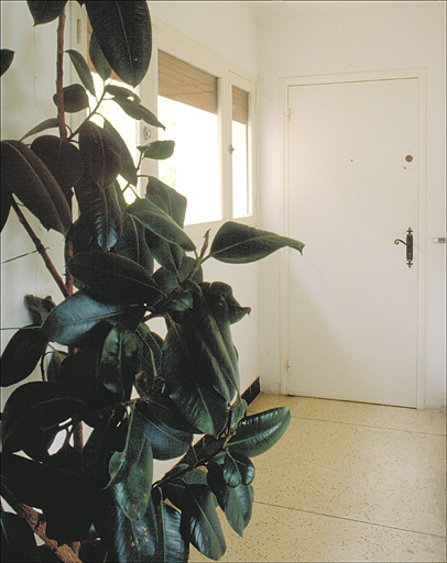 Immeuble dit villa Jasimoun
