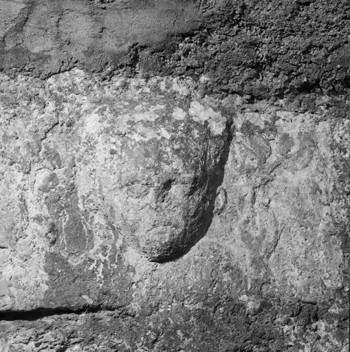 Village. Parcelle 1460. Bas-relief sur la porte de la cave.
