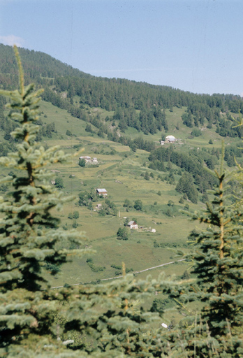 Le Grand Forest ; vue prise de l'est.