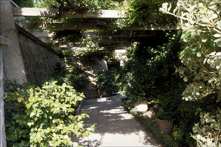 Pergola adossée au mur de soutènement de l'ancienne villa.