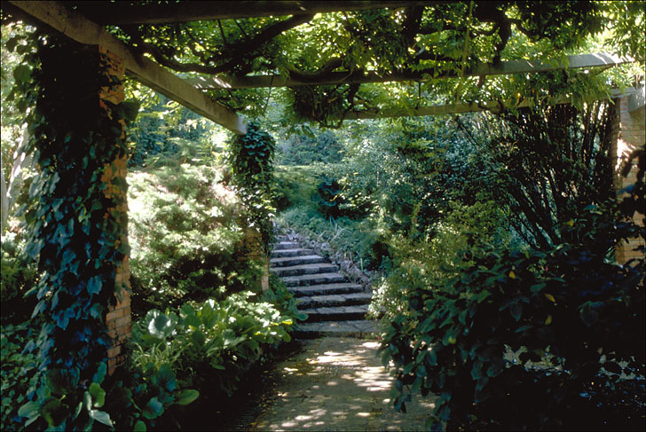 La salle de verdure. Vue de volume prise vers l'escalier d'accès.