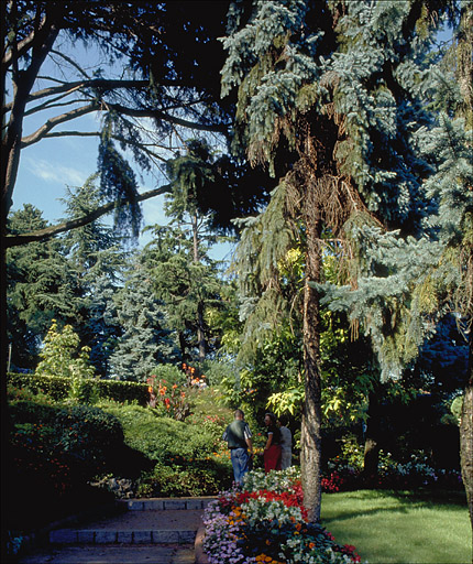 Jardin d'agrément de la villa Rêve d'Or